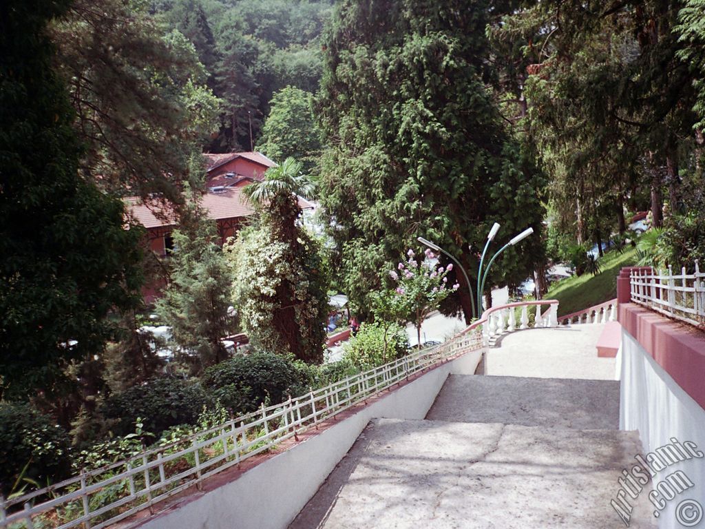 View of Termal-Gokcedere Village in Yalova city of Turkey.
