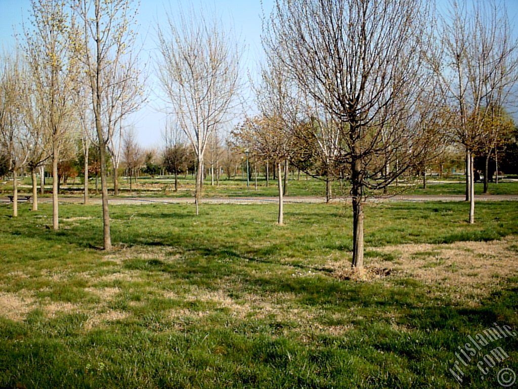 View of Botanical Park in Bursa city of Turkey.
